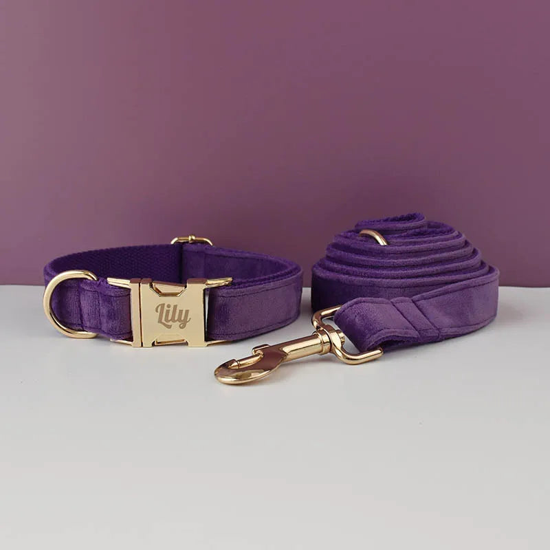 Purple Velvet Personalized Dog Collar & Leash Set