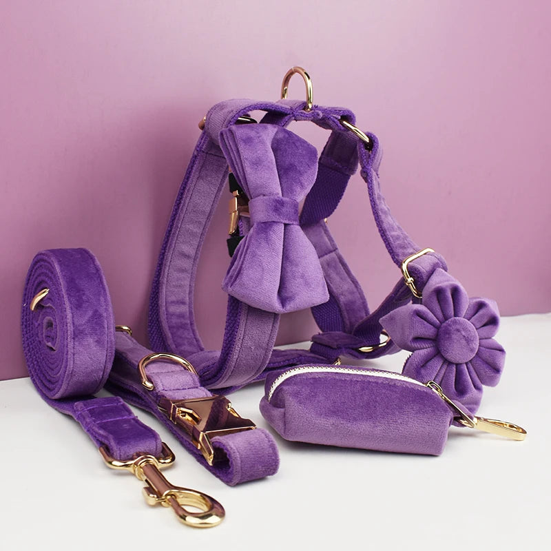Purple Velvet Personalized Dog Collar & Leash Set