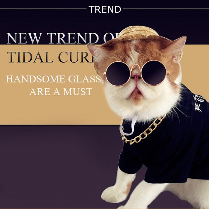 The Squeaky Coco Pet Sunglasses