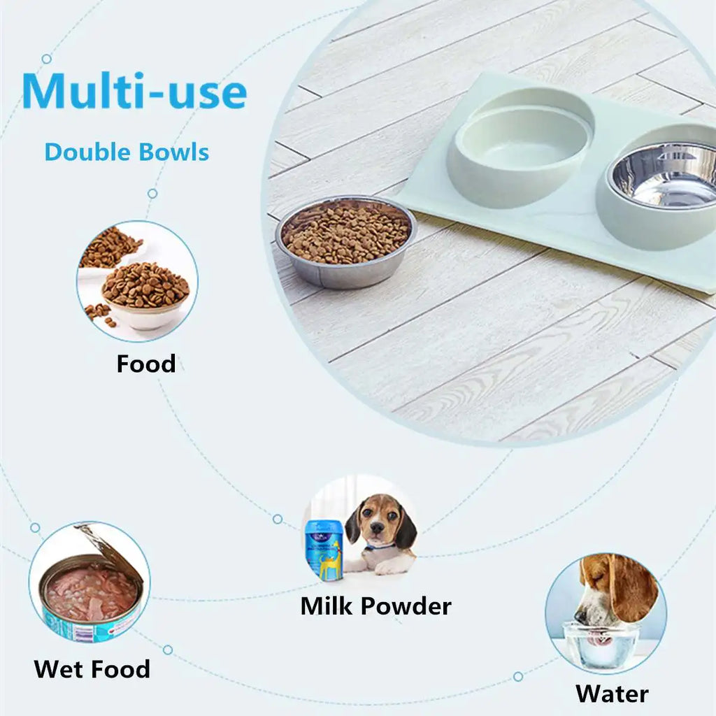 Non-Spill Stainless Steel Double Pet Bowl