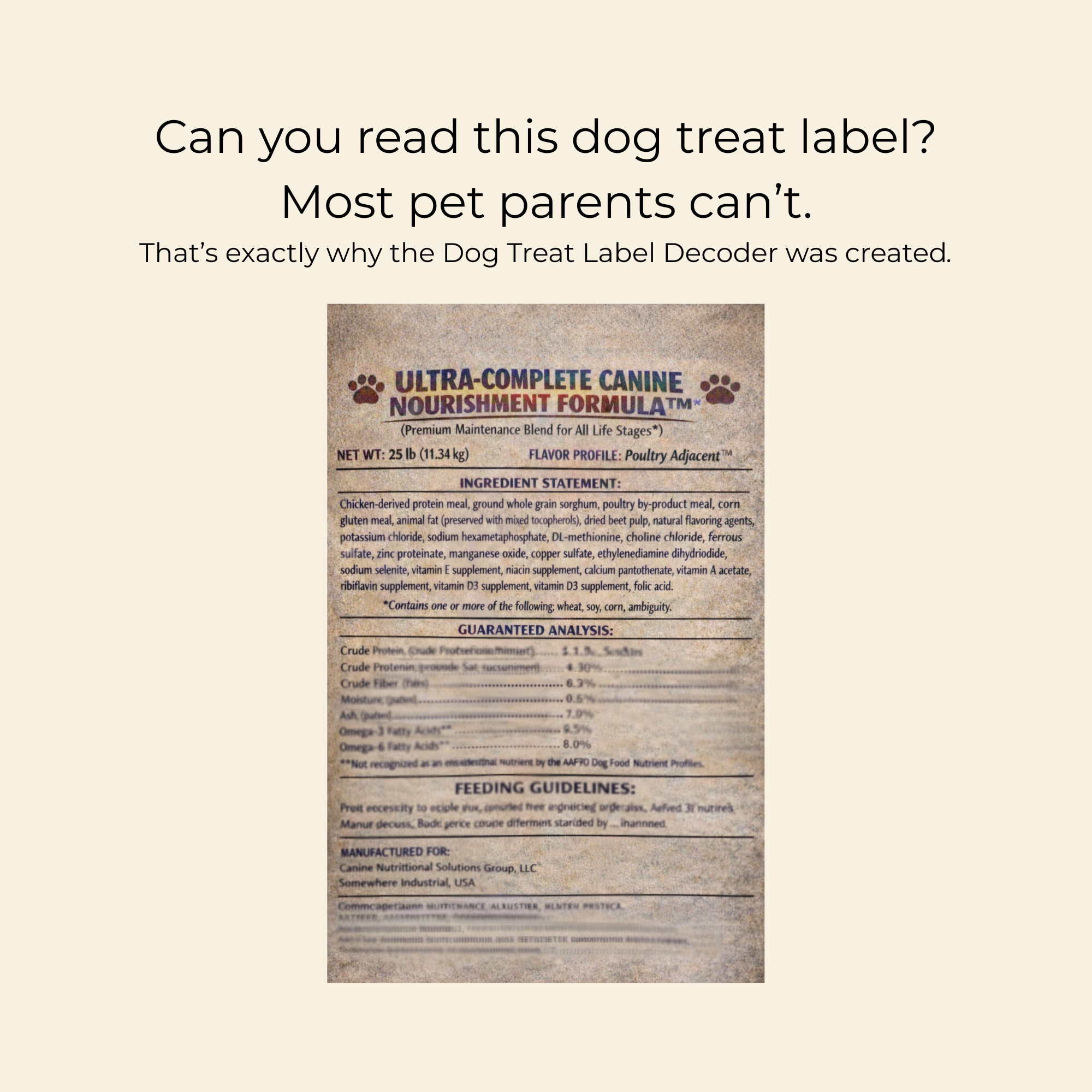 Dog Treat Confidence Bundle