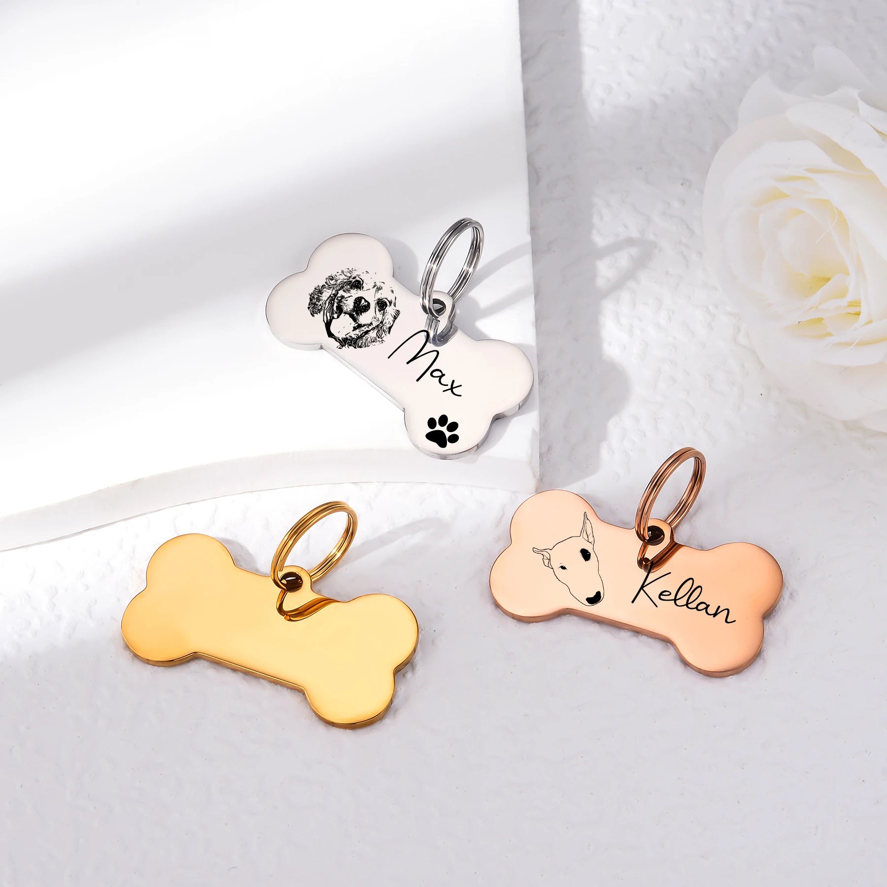 The Squeaky Coco Custom Dog ID Tag