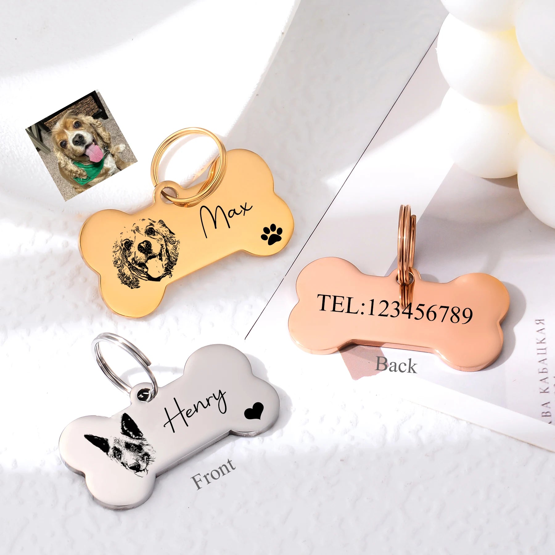 The Squeaky Coco Custom Dog ID Tag