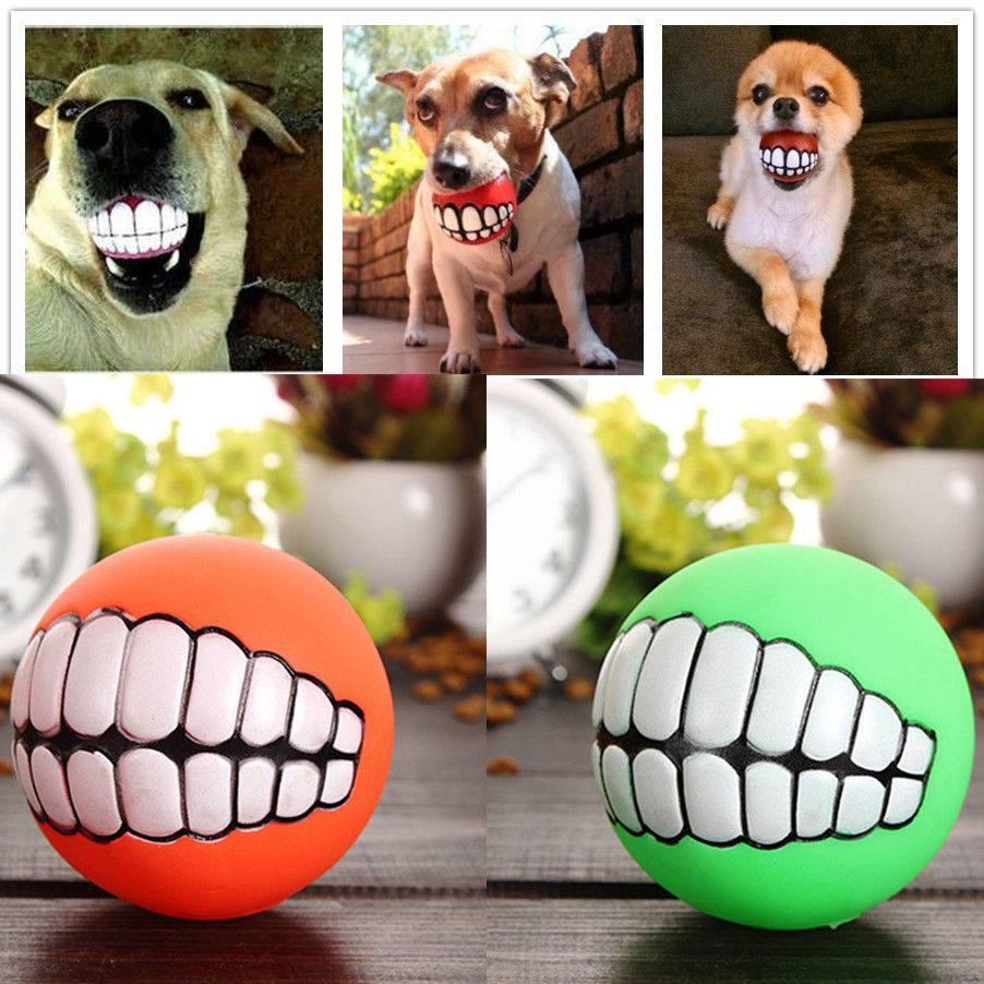 🐶 Dog toys (like tennis balls or chew balls)
